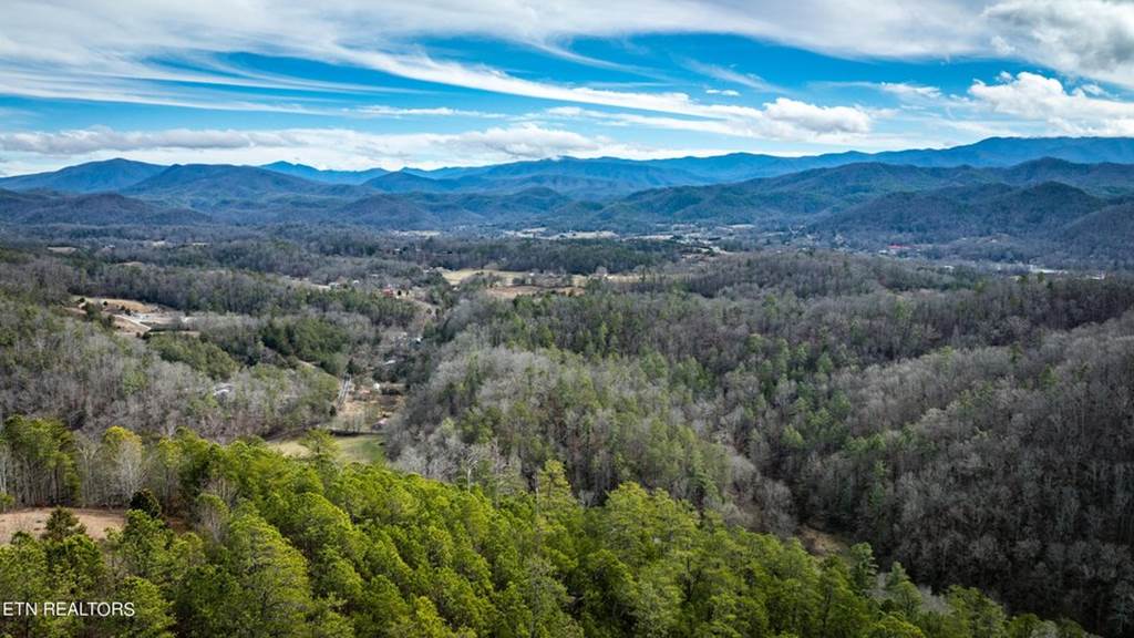 Twin Oak Mountain Rd, Townsend, TN 37882