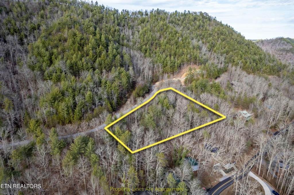 138 Anatole Pass, Townsend, TN 37882