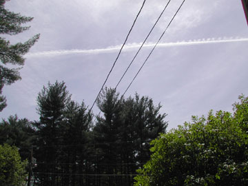 http://www.greatdreams.com/trailone.jpg