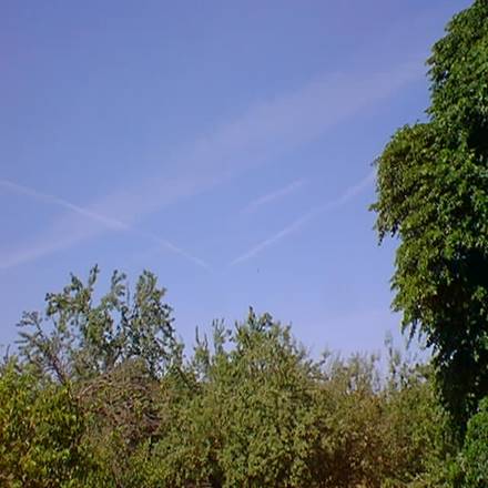 http://www.greatdreams.com/May23_01.jpg