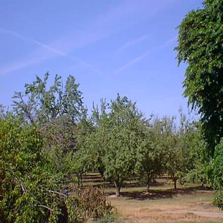 http://www.greatdreams.com/May23_02.jpg