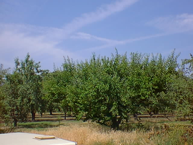 http://www.greatdreams.com/Jun03_05.jpg