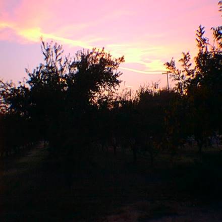 http://www.greatdreams.com/Oct24_01.jpg