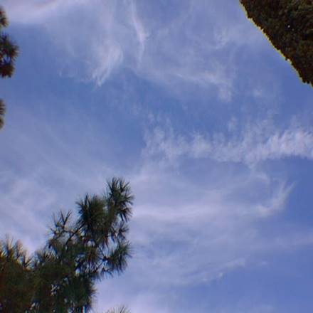 http://www.greatdreams.com/Nov03_02.jpg