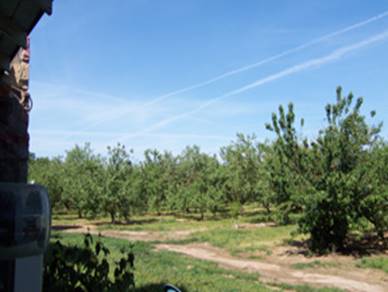 http://www.greatdreams.com/chemtrails-4-27-07_0997.jpg