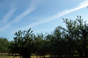 http://www.greatdreams.com/chemtrails-5-5-07.jpg