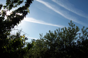 http://www.greatdreams.com/chemtrails-interim-5-5-07.jpg