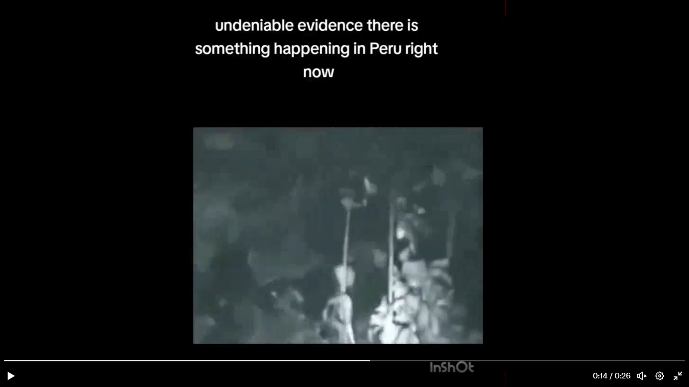 A screenshot of a video

Description automatically generated