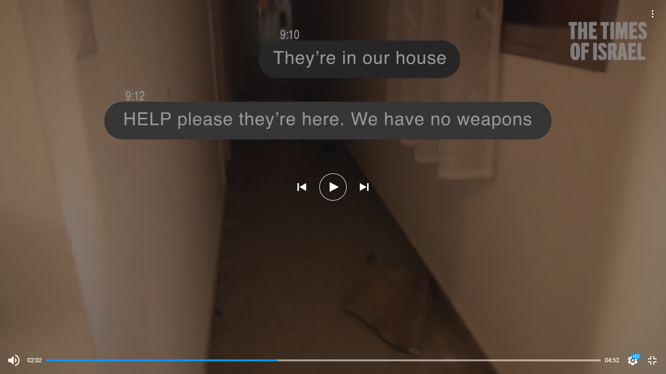 A screenshot of a video chat

Description automatically generated